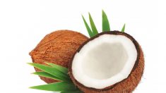 7 benefici del cocco e perché dovresti mangiarlo