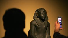 Probabilmente gli antichi Egizi hanno commerciato con il Nuovo Mondo