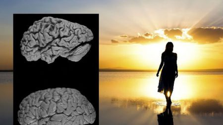 Schillaci: sostegno ai malati di Alzheimer e alle loro famiglie