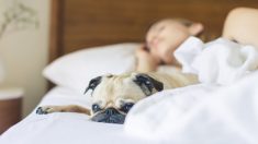 Dormire troppo o in modo irregolare aumenta rischio di malattia mortali