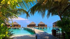 Maldive: un’isola paradisiaca per i turisti