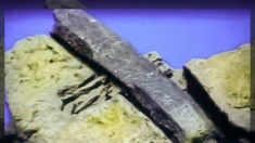Fuori posto nel tempo: un martello costruito 100 milioni di anni fa?