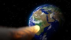 «Un asteroide colpirà la Terra». Ma la Nasa smentisce