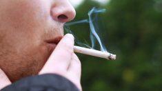 Ronzulli: il mercato illegale dei prodotti da fumo ha implicazioni sociali