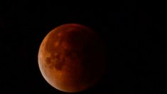 L’eclissi totale di ‘Luna rossa’ (+Video)