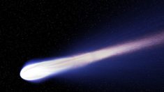 Un capodanno stellare tra Quadrantidi e Cometa Catalina