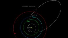 Forse per Hallowen una cometa e non un asteroide sfiorerà la Terra