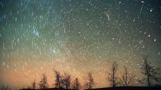 Lo sciame meteorico delle Leonidi nel cielo di novembre. Dove vederlo?