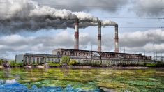 L’acidificazione degli oceani e il carbone sono i pezzi mancanti del puzzle climatico