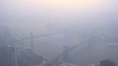 Smog, l’inquinamento atmosferico che causa cancro e distrugge l’ambiente