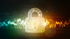 Sicurezza e privacy, Apple e Google per una volta insieme