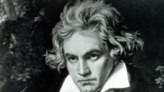 Beethoven, Sonata per corno e pianoforte in fa maggiore, op. 17
