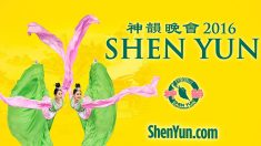 Arte divina, la genialità di Shen Yun Performing Arts – La danza etnica cinese