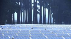 Gava: puntare tutto sulle rinnovabili è pericoloso