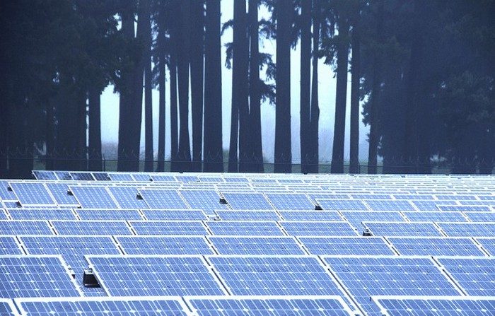Pannelli solari di fronte a file alla Baldock Solar Highway project il 5 dicembre, 2011. (Oregon Department of Transportation/Flickr, CC BY)