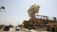 L’Isis accusa il colpo dopo la disfatta di Fallujah