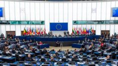 Il Parlamento europeo contro il traffico di organi in Cina