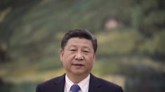 Xi Jinping e la ricostruzione della cultura tradizionale cinese