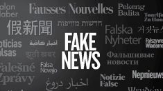 Entra in vigore il Codice di condotta europeo sulla disinformazione
