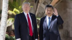 Sintonia tra Trump e Xi Jinping, trema Kim Jong-Un