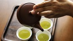 Più di una semplice tazza di tè: l’Oolong acuisce i sensi e calma i nervi