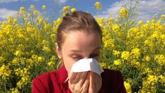 Cinque rimedi naturali contro le allergie