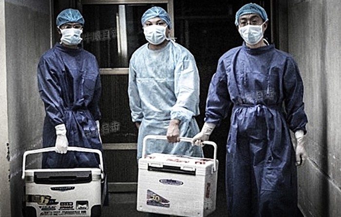 La Cina vuole superare gli Usa nei trapianti d’organi, ma ancora non si parla di diritti umani