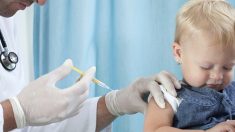 I vaccini possono aumentare il rischio di malattia