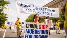Le disumane torture nel campo di lavoro Masanjia in Cina