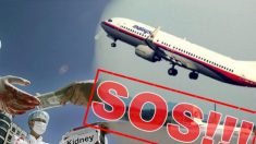 Sparizione del volo Malaysia Airlines collegata alla persecuzione del Falun Gong?