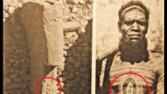 Simboli aborigeni di 12 mila anni in Turchia riscrivono la Storia