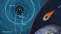 Fetonte il titanico asteroide che sfiorerà la Terra prima di natale