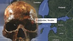 Teschi di 8 millenni in Svezia abbattono teoria dei riti funebri