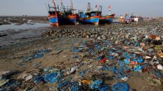 Le buste di plastica che distruggono gli oceani