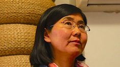 Avvocato e madre, l’eterna battaglia per i diritti umani in Cina