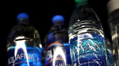 Scienziati confermano la presenza di microplastiche nel corpo umano