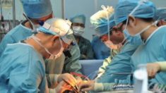 I passi in avanti dei parlamentari italiani contro il traffico d’organi