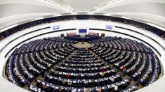 Denuncia del Parlamento europeo: le dittature mettono a rischio le nostre democrazie