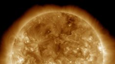 Groenlandia, trovate tracce di un'enorme tempesta solare di 2.600 anni fa