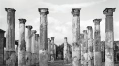 Pompei, paesaggio vivente tra passato e presente