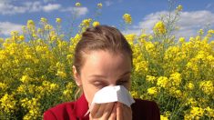 8 rimedi naturali contro le allergie