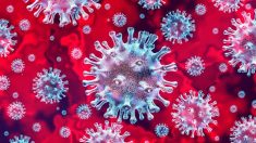 Cosa sono i virus e perché ci fanno ammalare?