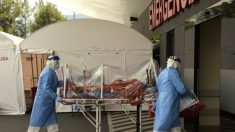 Prospettive sulla pandemia, perché l’Ecuador è un grande focolaio
