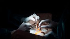 Agghiacciante, un medico cinese racconta il prelievo forzato di organi da vivi