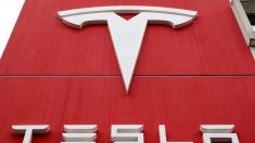 Tesla in dialoghi avanzati con il governo italiano per la produzione di veicoli commerciali