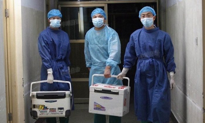 I medici trasportano organi freschi per il trapianto in un ospedale nella provincia di Henan, in Cina, il 16 agosto 2012. (Screenshot via Sohu.com)