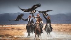 Il legame profondo tra gli ultimi guardiani di aquile della Mongolia e i loro potenti uccelli