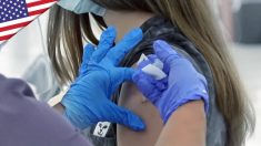 Le Case farmaceutiche riprendono gli studi sui vaccini Covid