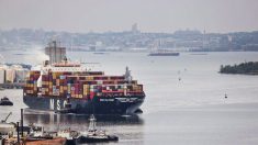 La crisi logistica dei porti statunitensi persisterà fino a metà 2022