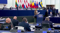 Strasburgo, l’eurodeputata Donato: a Trieste diritti umani calpestati